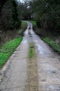 Long narrow winding tarmac country road in winter Sutton, Suffolk, England, UK