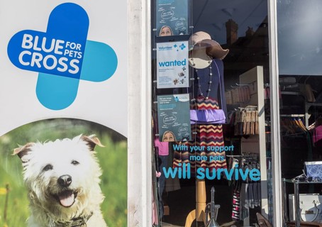 Blue Cross for Pets charity shop, High Street, Marlborough, Wiltshire, England, UK