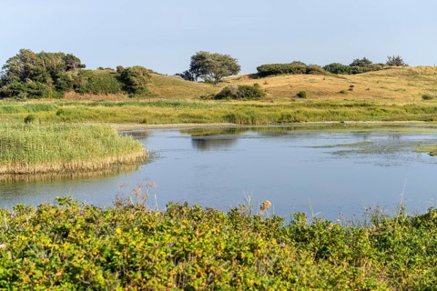 Landscape in the area near Klise Nor near Bagenkop, Langeland Island, Denmark, Europe