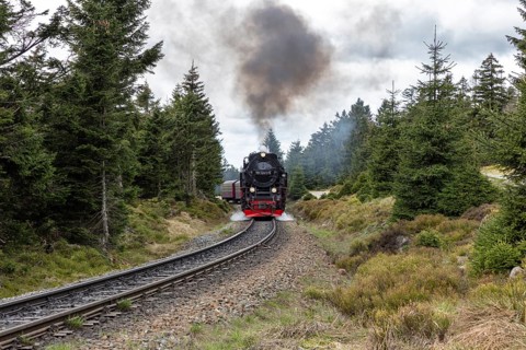 Steam locomotive runs on rails through wooded landscape, smoke rises, Harz Mountains, Brocken,