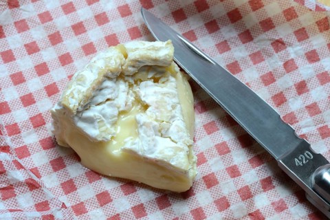French Camembert, sliced cheese, France, Europe