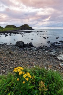 Rocky coast, coastline, dusk by the sea, Causeway Coastal Route, Antrim, Northern Ireland, Great