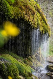 Moss-covered rocks and waterfall, Wutach Gorge, Bonndorf, Baden-Württemberg, Black Forest, Germany,