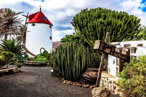 2016, Tiagua, Lanzarote, Farm Museum El Patio, Tiagua, ESP, Spain, Canary Islands, Canary Islands,