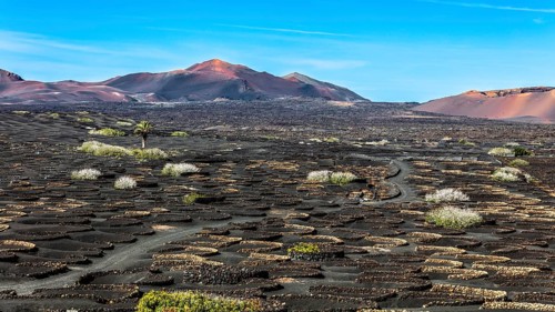 2016, La Geria, Lanzarote, La Geria, ESP, Spain, Canary Islands, Canary Islands, Atlantic Ocean,