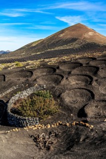 2016, La Geria, Lanzarote, La Geria, ESP, Spain, Canary Islands, Canary Islands, Atlantic Ocean,
