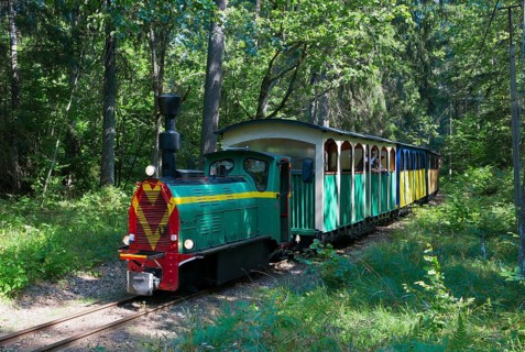 A colourful train runs through a green forest on narrow rails, diesel locomotive, Wls 40 type light