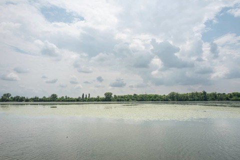 Parco del Mincio, Mantua, Italy, Europe