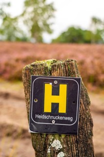 The Osterheide, in the Lüneburg Heath nature reserve, hiking sign, Heidschnuckenweg, hiking trail,