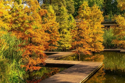 The Grugapark, Essen, botanical garden, park for leisure and recreation, at the forest lake, wooden