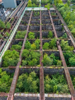 Duisburg-Nord Landscape Park, former Thyssen steelworks, closed in 1985, since then trees have been