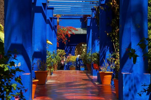 Flower decoration in the Majorelle garden, wall, clay plaster, indigo, blue, colourful, plants,