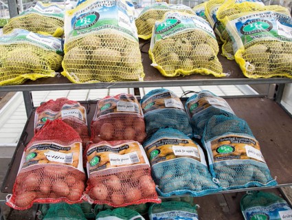 Bags of seed potatoes on sale Ladybird Nurseries garden centre, Gromford, Suffolk, England, UK