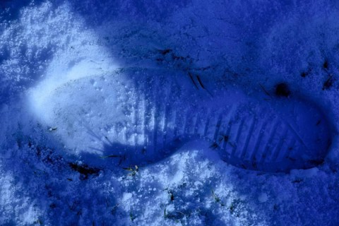 Tracks in the snow
