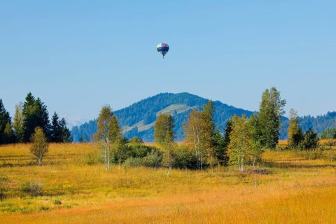 Hot air balloon over the Rothenthurm high moor in the canton of Schwyz, Switzerland, Europe