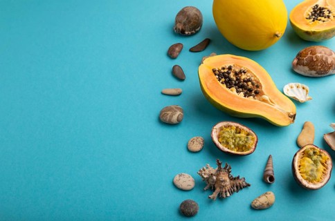 Ripe cut papaya, melon, passion fruit, seashells, pebbles on blue pastel background. Side view,