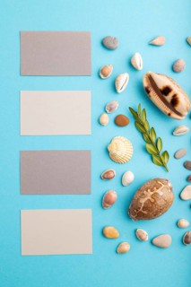 Composition with gray paper business cards, seashells, green boxwood. mockup on blue pastel