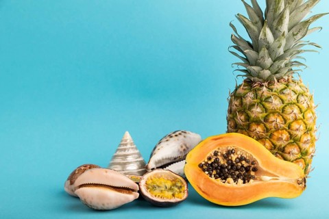 Ripe cut papaya, pineapple, passion fruit, seashells on blue pastel background. Side view, copy