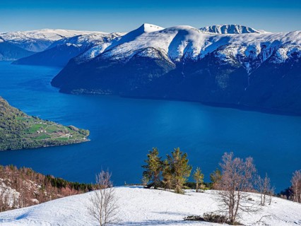 View from Mt. Molden, over the Lustrafjord, inner branch of Sognefjord, tongue of land of Urnes,