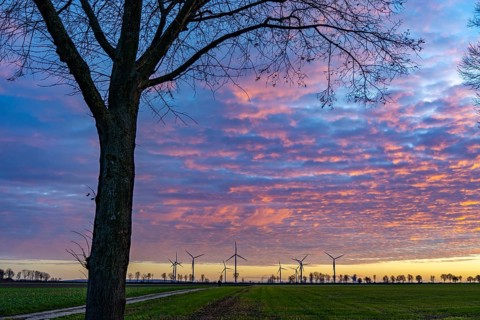 Wind farm near Holzweiler, town of Erkelenz, wind power plants, North Rhine-Westphalia, Germany,