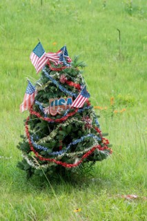 Yankee Springs Twp., Michigan, A pine tree, decorated as a patriotic Christmas tree, in summer on