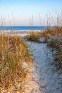 Sand walkway in the grasses over sand dunes on the beach at Amelia Island, Florida, USA, North