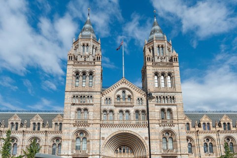 Natural History Museum, Kensington, London, England, Great Britain