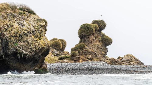 Natural Heritage Site Islotes de Punihuil, Punihuil, Chiloe, Chile, South America