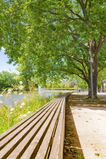 Long wooden bench on the riverbank under a shady tree, Böblingen, Germany, Europe