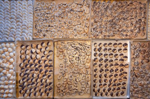 Ready-baked biscuits arranged on baking trays, Bavaria, Germanybd