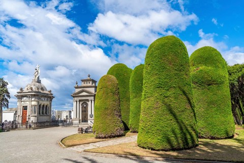 Grave mausoleums and trimmed bushes, historical cemetery Cementerio Sara Braun, city of Punta