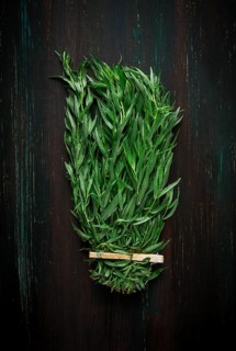 Fresh Tarragon, bunch, top view, close-up, no people