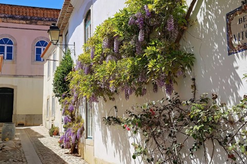Cascais narrow streets in the old town