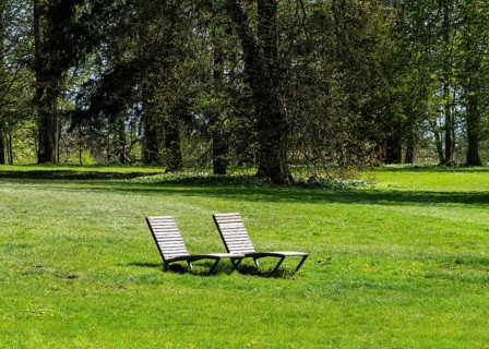 Wooden loungers in a meadow in the park, Rügen, Mecklenburg-Western Pomerania, Germany, Europe