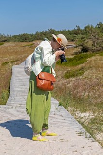 Woman photographed, wooden footbridge, trees, pine trees, circular hiking trail, nature reserve,