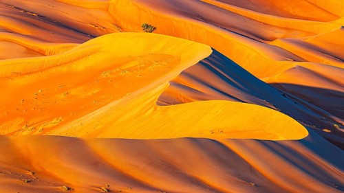 Wind-sculpted, curved, sand dunes in the Rub al Khali desert, Dhofar province, Arabian Peninsula,