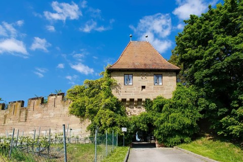 Hohenbeilstein Castle, hilltop castle, Beilstein, Heilbronn district, Baden-Württemberg, Germany,