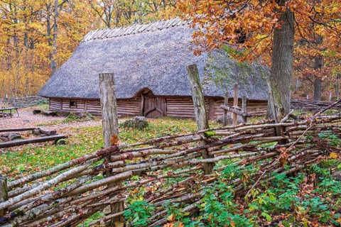 Reconstructed bronze age house with thatched roof in an oak forest with fence of tree branches with