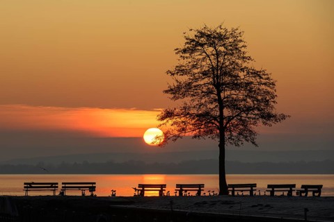 Sunrise at Lake Dümmer, jetty, stillness, lake, tree, sun, Dümmerlohhausen, Lower Saxony, Germany,