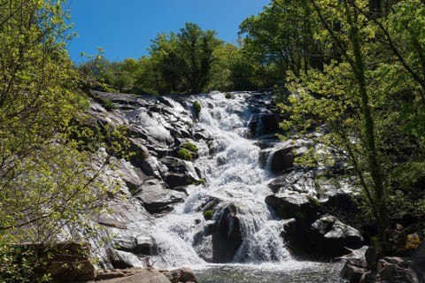 Natural waterfall flowing over stony rocks surrounded by green trees on a sunny day, Cascada del
