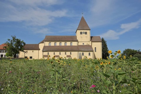 UNESCO Carolingian St George's Church, flower field, flower meadow, sunflowers, Oberzell, Reichenau