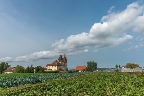 Collegiate Church of St Peter and Paul, Niederzell, Reichenau Island, double tower, rectory,