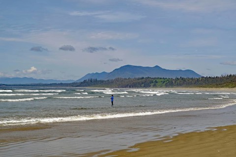 Endless empty sandy beach with swell and mountains in the background, Long Beach, Pacific Rim