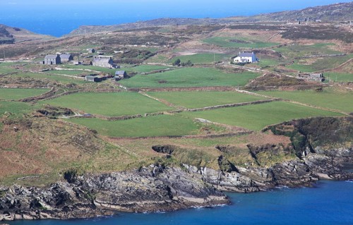 Farmhouses on headland, South Harbour, Cape Clear Island, County Cork, Ireland, Irish Republic,