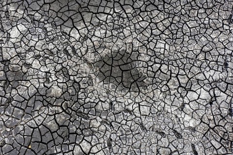 The bottom of a dried-up fish pond in Reckahn in Brandenburg looks like parched desert soil. The