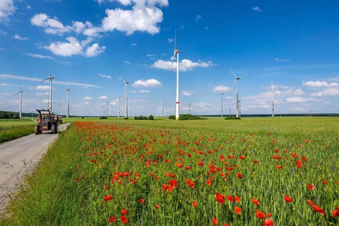Wind farm, field with flower strips, insect-friendly border of fields with mixed flowers, poppies,