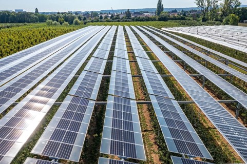 Agri-photovoltaic test plant, an apple orchard with two different systems of PV modules was roofed