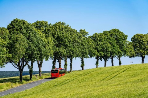 Country road between Hirschberg and Warstein, local bus, public transport, bus transport,