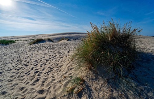 Dune landscape around the Lontz Dune, Wydma Lacka, the largest travelling dune on the Polish Baltic