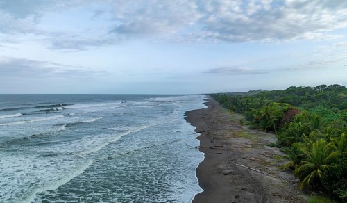 Aerial view, beach and sea, coast with rainforest, Tortuguero National Park, Costa Rica, Central